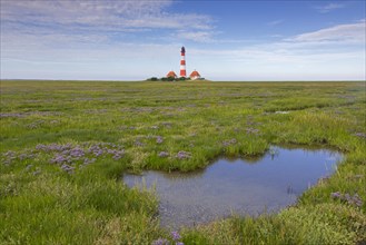 Lighthouse Westerhever with flowering Sea-lavender