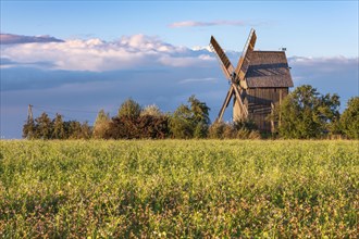 The windmill of Krippendorf on the battlefield of 1806 in the last evening light
