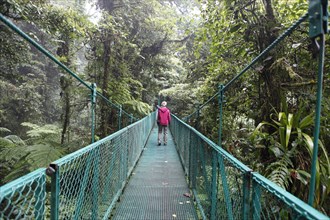 Suspension Bridge in Selvatura Park