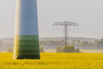 Electricity pylons looming in a landscape near Glasewitz