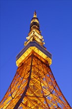 Tokyo Tower illuminated at night Japan