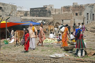 Women dressed in saris shopping for vegetables at market in Vrindavan