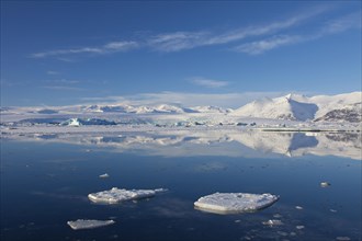 Drift ice floating in Joekulsarlon glacier lagoon in winter
