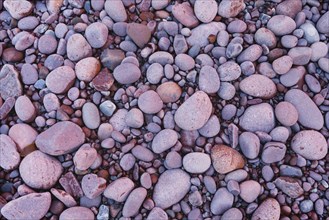 Close-up of purple round stones on the seashore on the north-west coast of Scotland