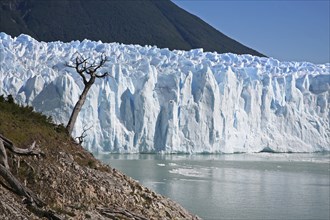 Perito Moreno glacier in the Los Glaciares National Park