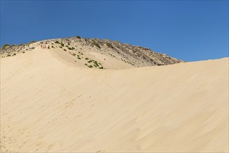 Dune Landscape