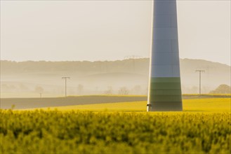 Electricity pylons and a wind turbine are silhouetted against a rape field in Glasewitz