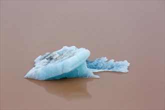 Ice floe from the Erikbreen glacier in Liefdefjorden