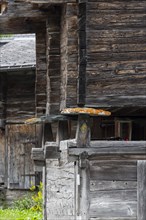 Typical Valais farmhouse in wooden construction