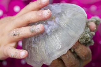 Jellyfish in childrens hands