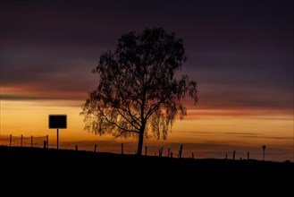 A town sign and a tree silhouetted against the setting sun