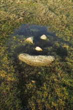 Natural smiley made of stones in the middle of a puddle of water in a meadow in the Highlands of Scotland