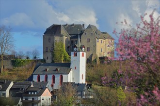 View of the castle and the Protestant castle church in spring