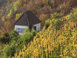 Dornburg Castles