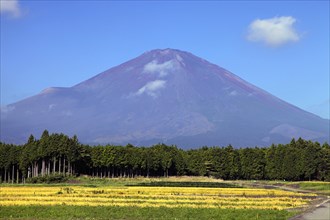 Mount Fuji and farm land Japan