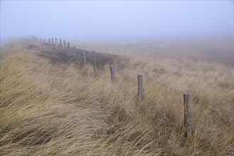 Fence in the dune landscape