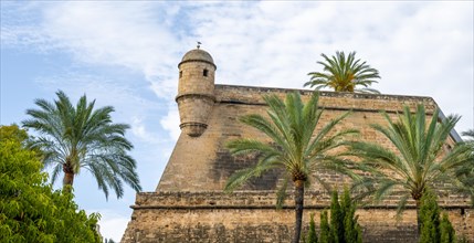 Fortress wall with tower