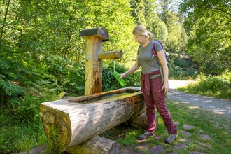 Hiking woman fills drinking bottle at the wooden fountain on the hiking trail Sprollenhaeuser Hut