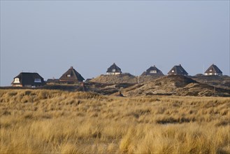 Houses with thatched roof in the dune landscape