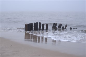 Wooden groynes on the coast