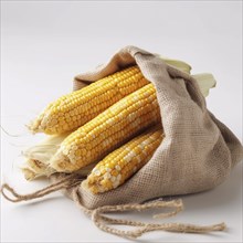 Old sack of corn