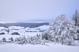 Winter in Ibach