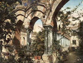 Monastery Garden of San Giovanni degli Eremiti in Palermo c. 1860