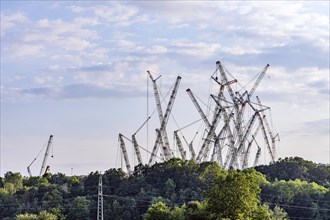 Many cranes at the Liebherr factory