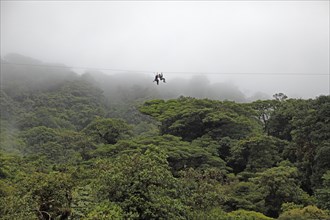 Canopy glider in Monteverde Cloud Forest