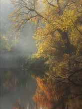 Autumn on the Mulde River