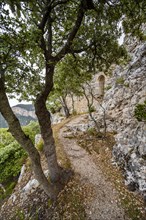 Hiking trail to the ruins of Castell Alaro