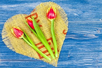 Three Tulips on Brown Linen Heart
