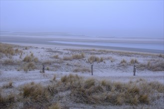 Wadden Sea National Park with fog