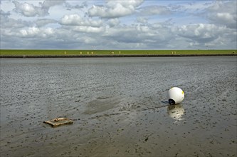 Buoy lying in the mudflats at low tide