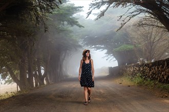 A woman enjoying walking through foggy trees towards the juniper forest in El Hierro. Canary Islands