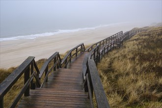 Wooden footbridge and stairs through the dunes