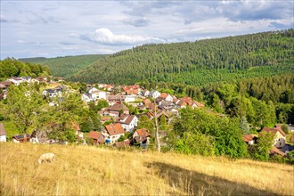 View of the village on the Sprollenhaeuser Hut hiking trail