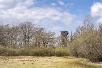 The 18-metre-high wooden observation tower called Mettnau Tower in the Mettnau Peninsula nature reserve