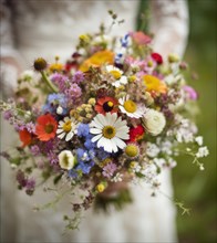 A colourful bouquet of wild flowers