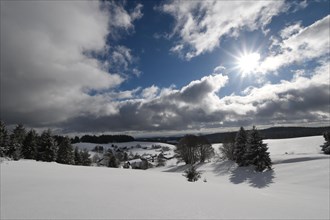 Winter landscape