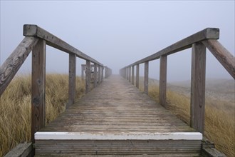 Wooden footbridge through the dunes