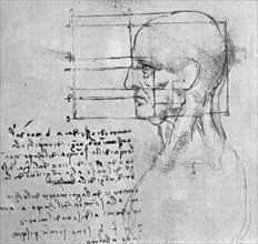 Drawing by Leonardo da Vinci