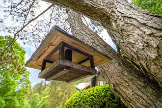Birdhouse on tree in spa gardens