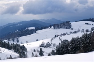 Schauinsland