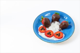 Strawberries covered with melted chocolate with coconut on a blue plate isolated on white background