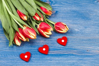 Tulips on blue background and 3 small hearts