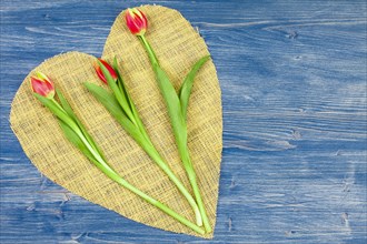 Three long-stemmed tulips on a linen heart