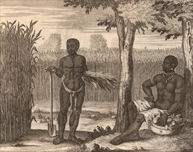 Male and female black slave for work in the sugar cane field
