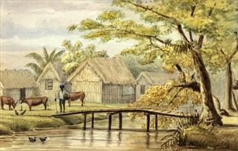 Slave huts on the Sorgvliet coffee plantation in Suriname