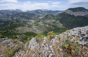 View over the mountains of the Serra de Tramuntana